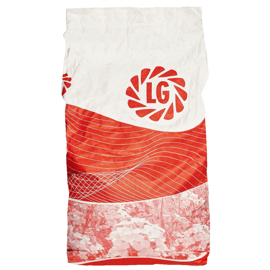 LG Winterraps Saatraps AMBASSADOR