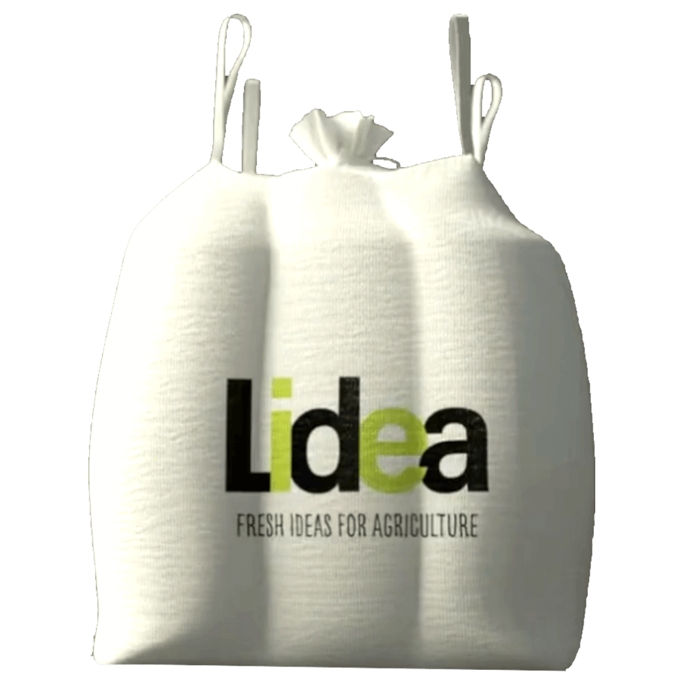 Lidea Mais Friendli CS 