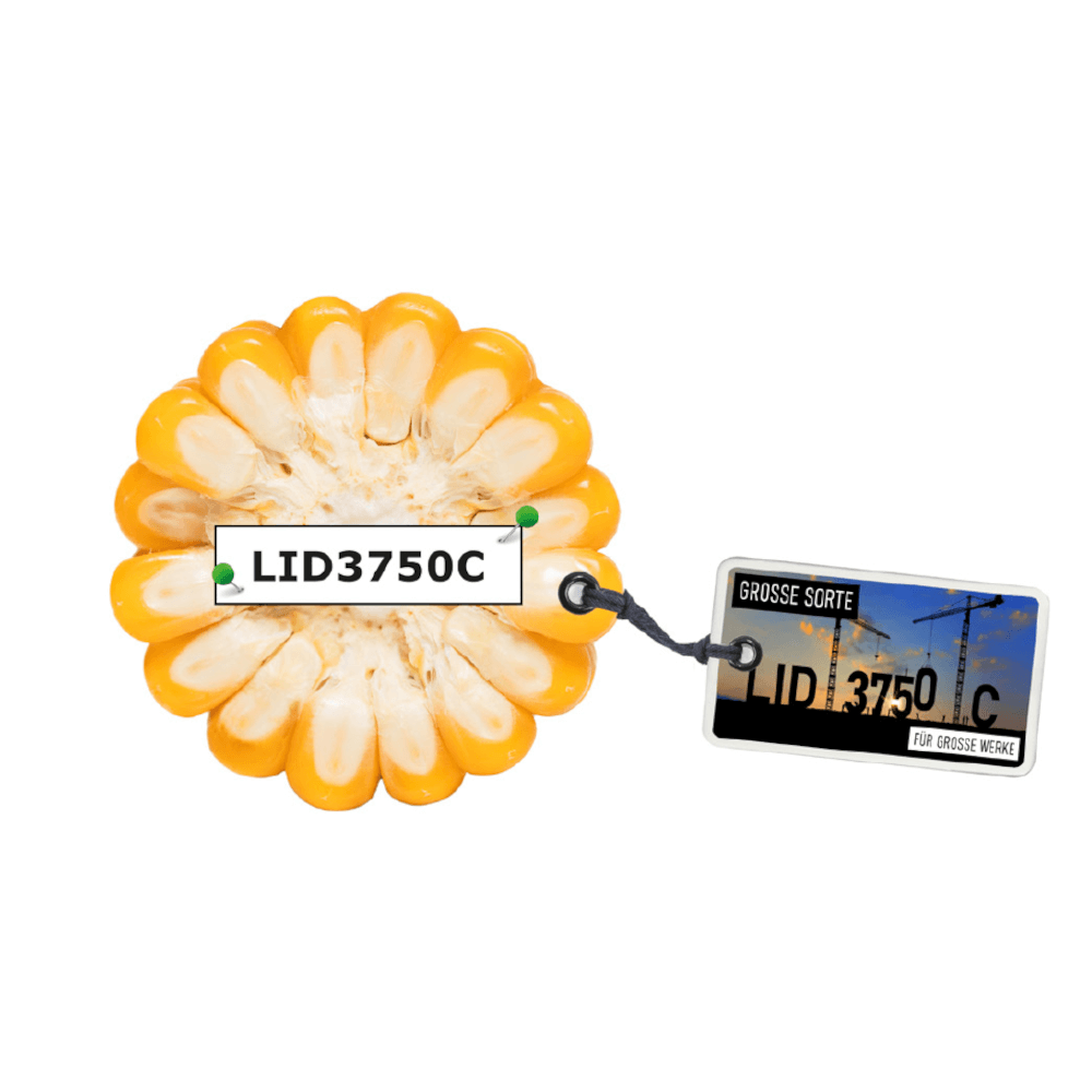 Lidea Mais LID3750C (ESZ21317) ca. S 270