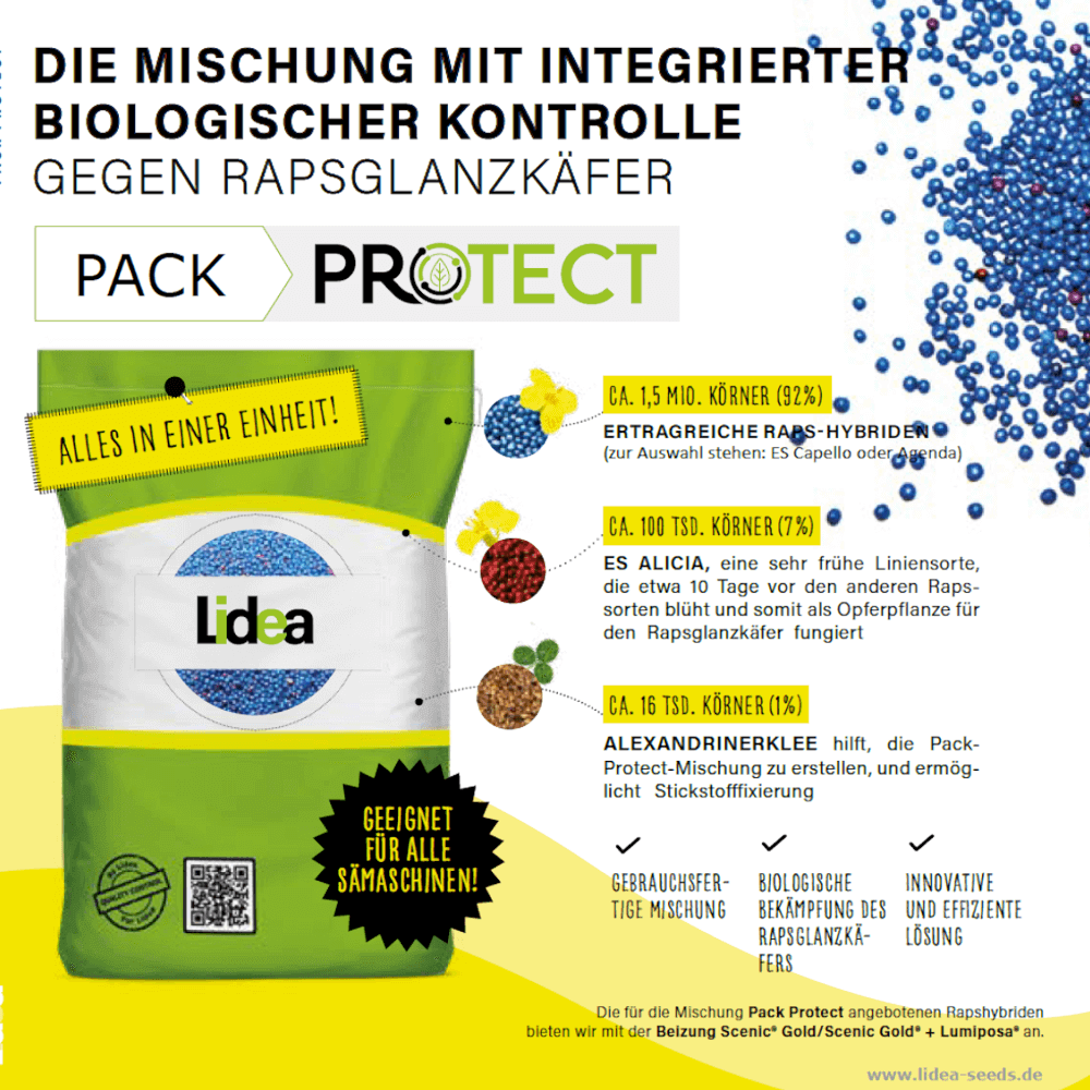 Lidea Raps LID ULTIMO Protect
