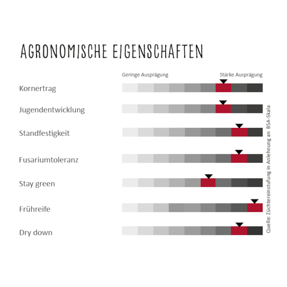 Lidea ARSKY sehr früher Körnersorghum