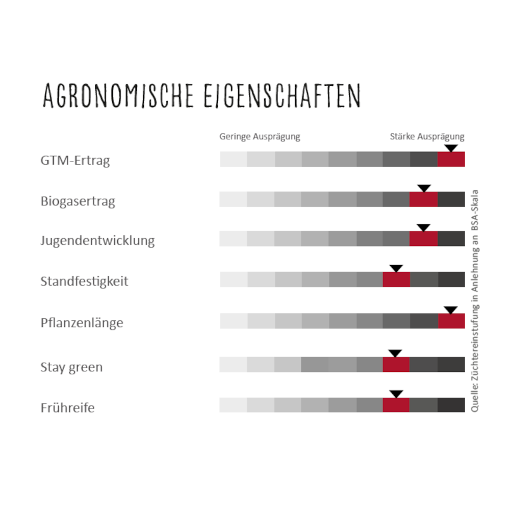 Lidea STYX mittelfrüher Biomassesorghum