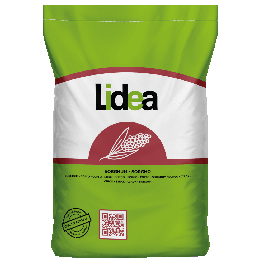 Lidea STYX mittelfrüher Biomassesorghum