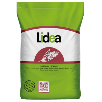 Lidea STYX mittelfrüher Biomassesorghum