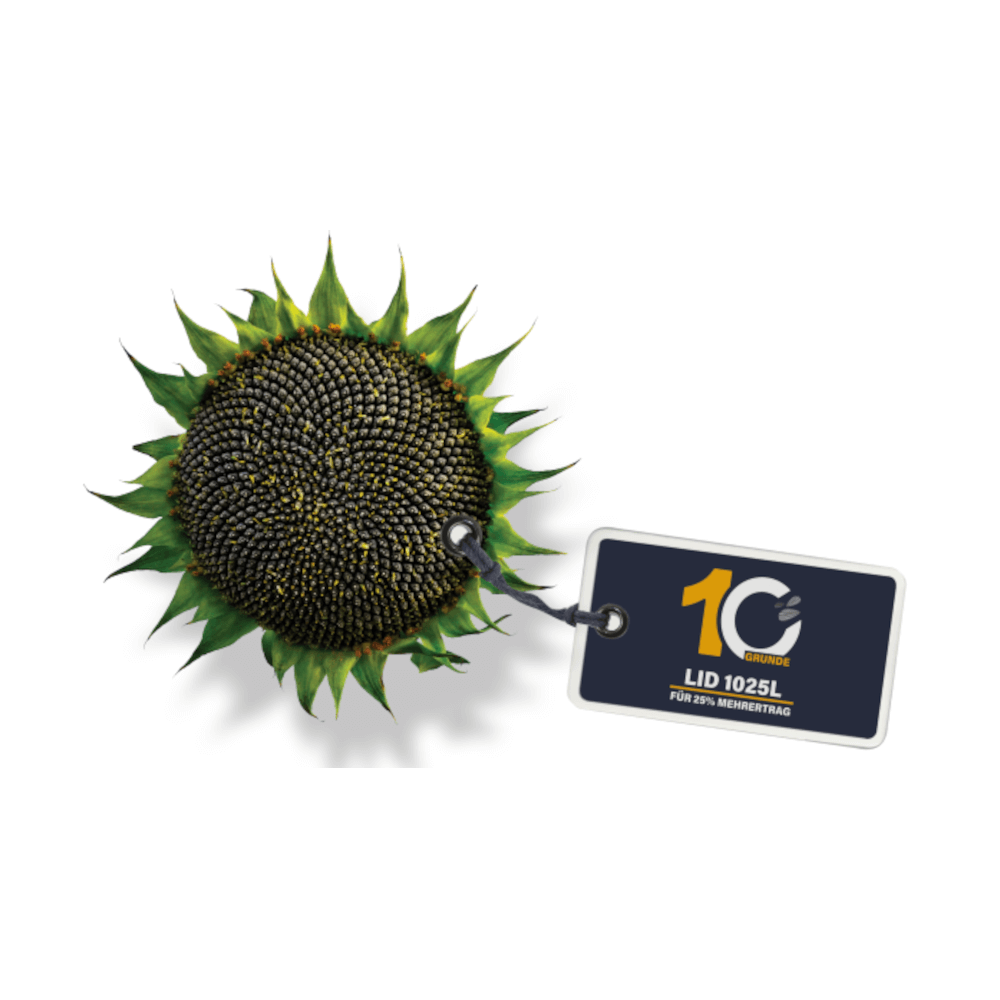 Lidea Sonneblumen 1025L