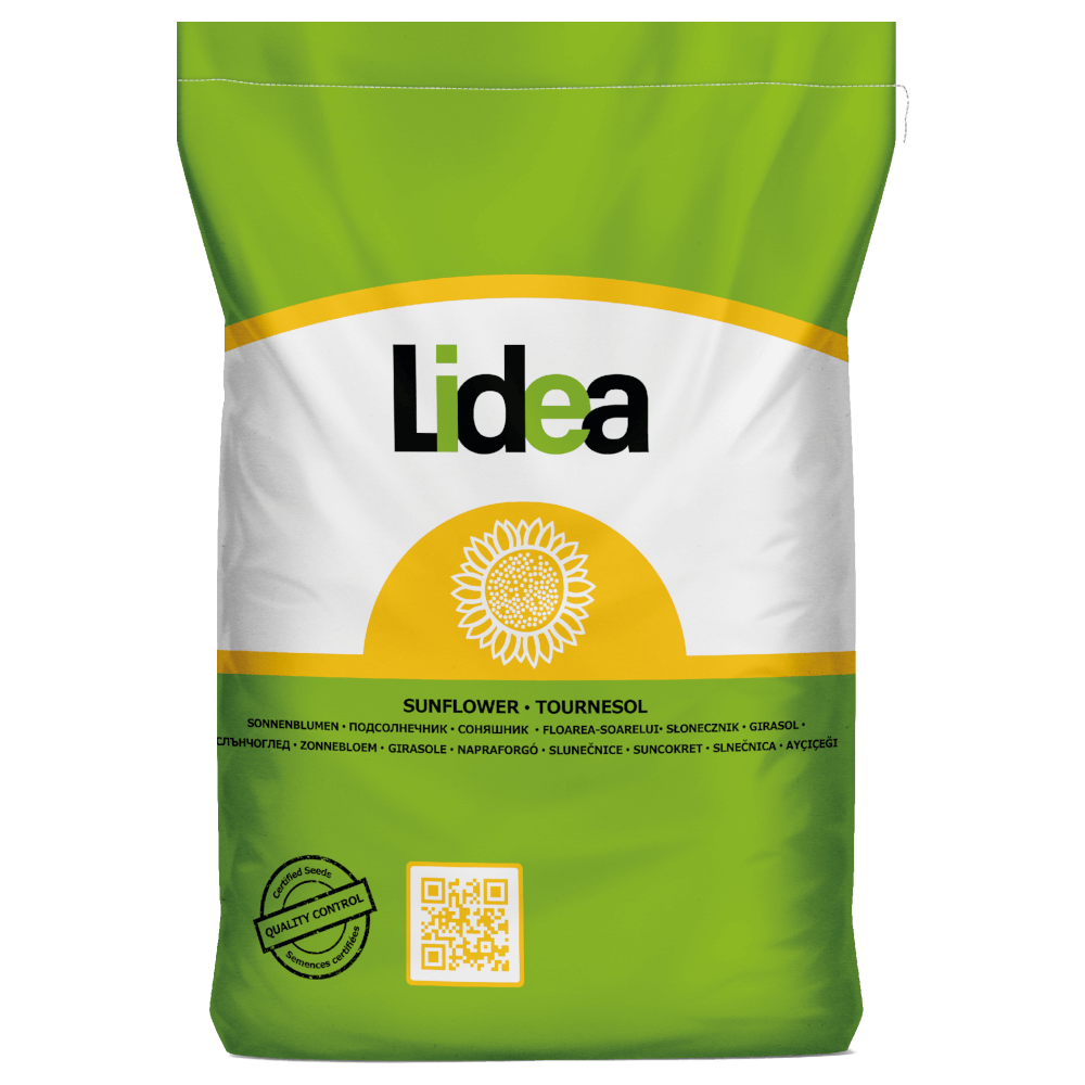 Lidea Sonnenblumen ES HUDSON SU