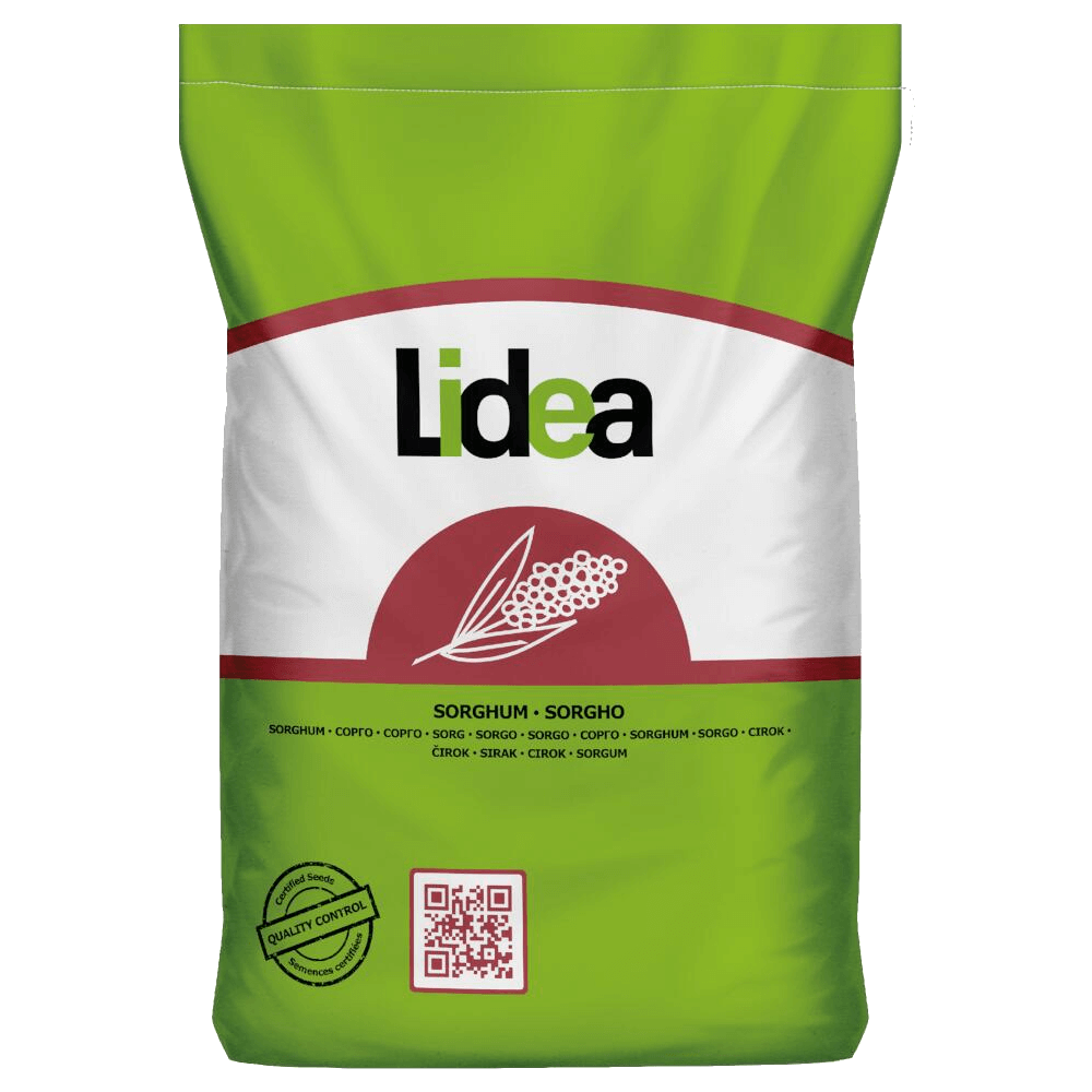 Lidea Sorghum ARABESK