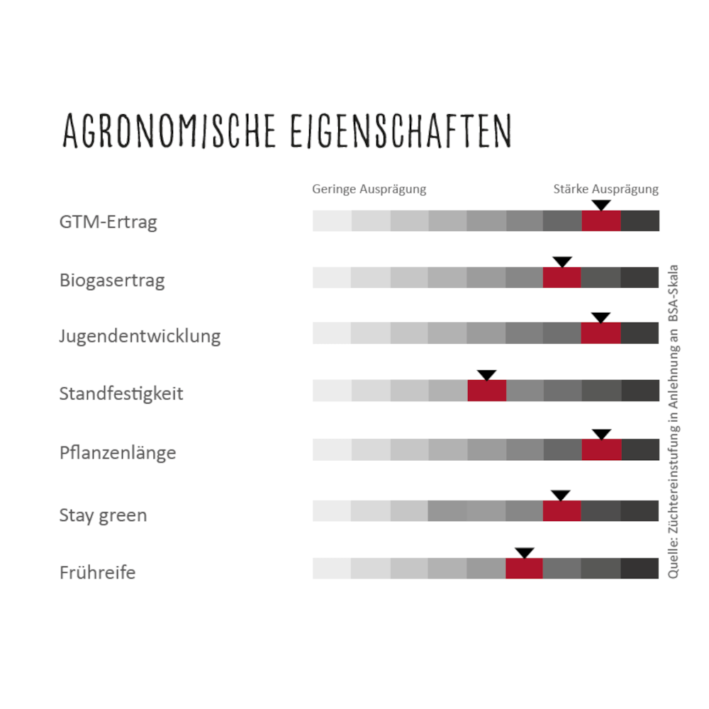 Lidea Sorghum BMR GOLD X