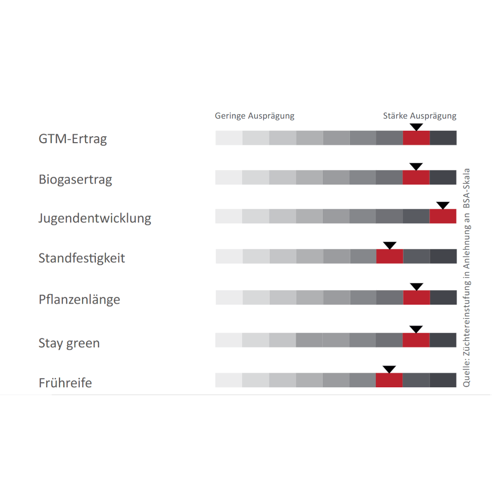 Lidea Sorghum Emeraude