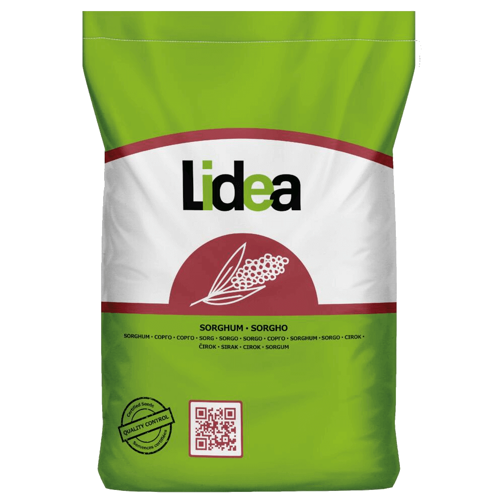 Lidea Sorghum Emeraude