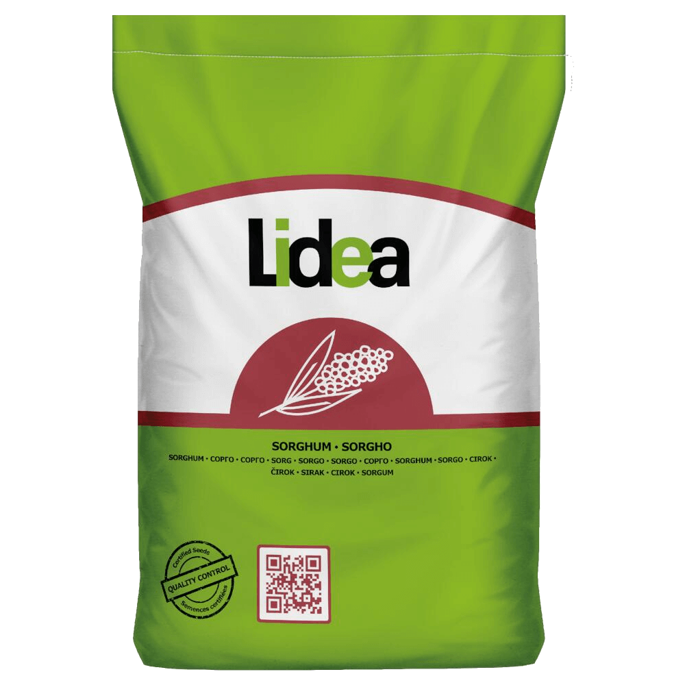 Lidea Sorghum LUSSI