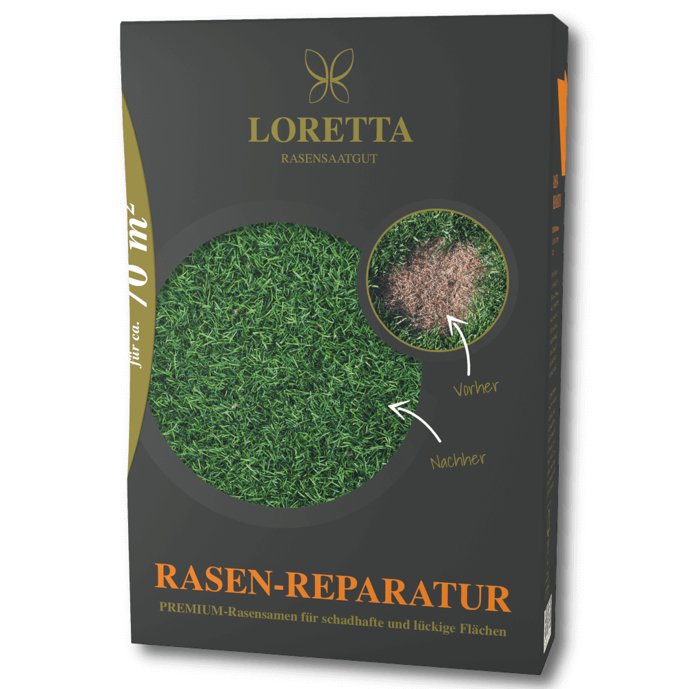 Loretta Rasen-Reparatur Premium