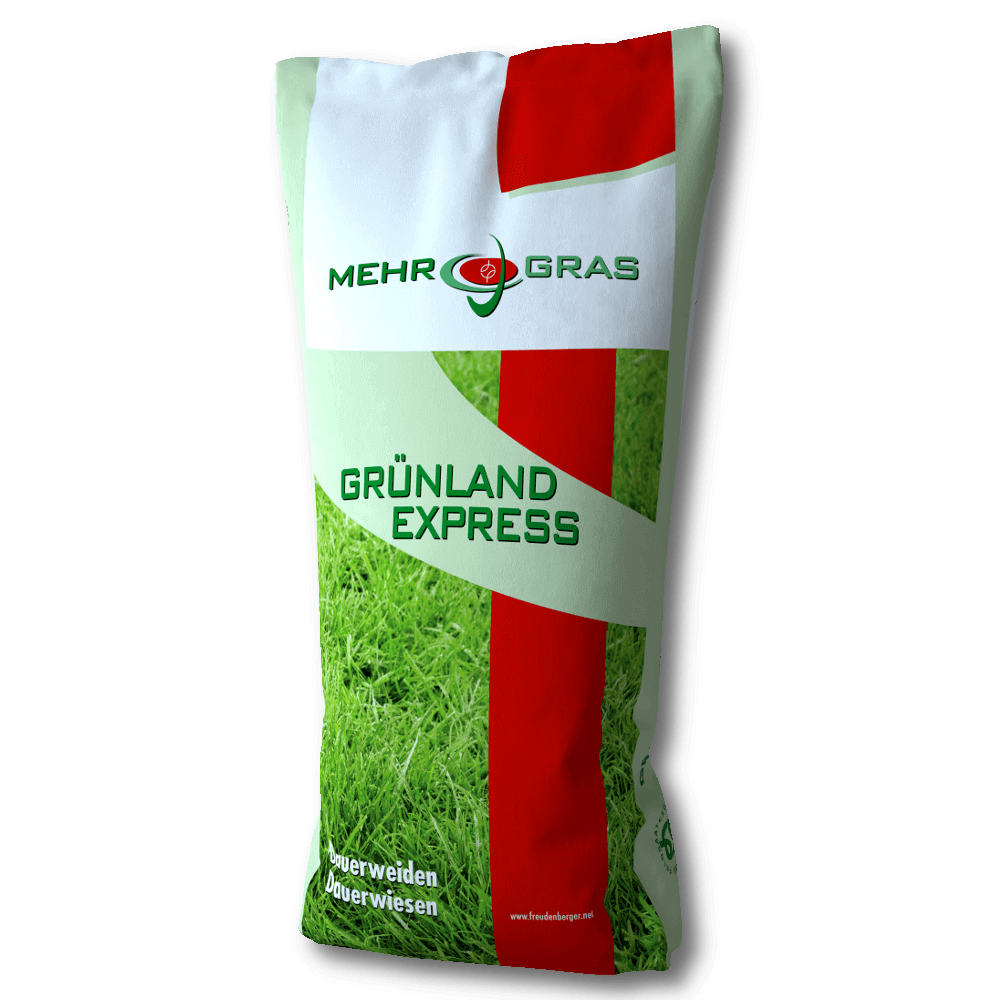 Wieseneinsaat Standard G VII RHT semences pour prairie