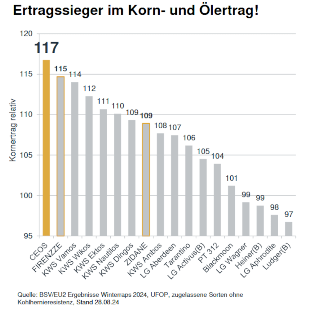 RAGT Winterraps Saatraps CEOS GOLD