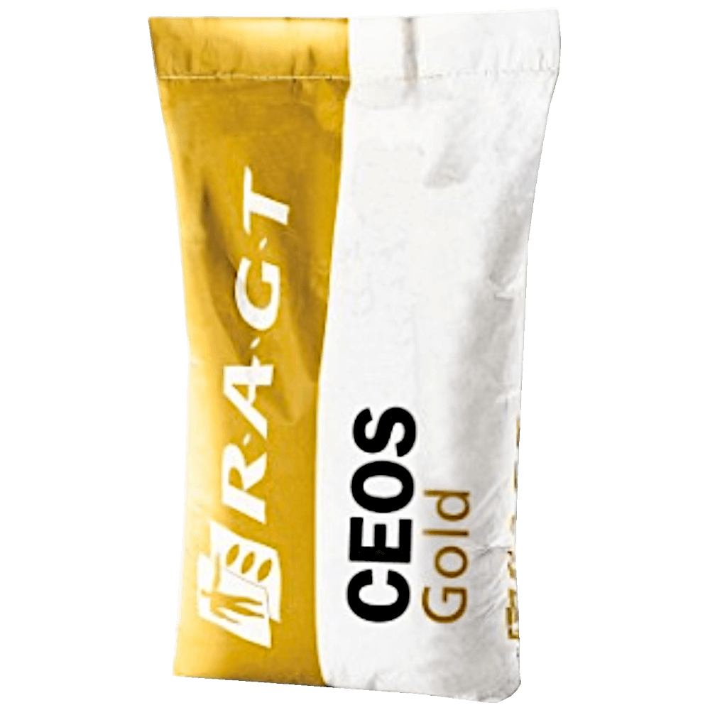 RAGT Winterraps Saatraps CEOS GOLD