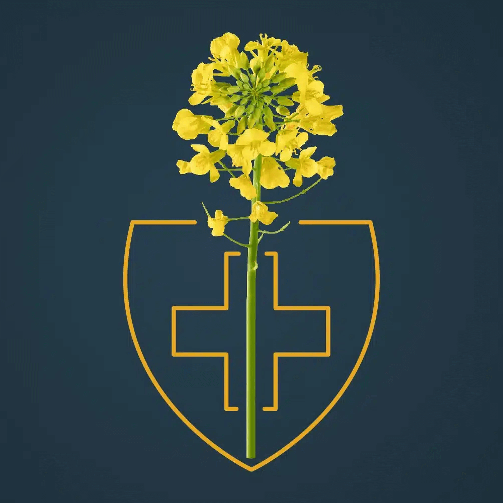 RAGT Winterraps Saatraps FIRENZZE GOLD