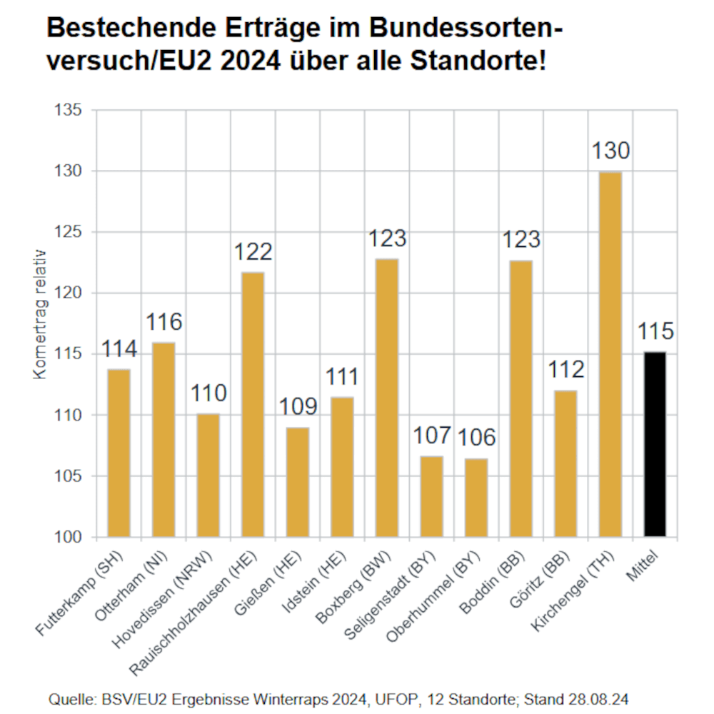 RAGT Winterraps Saatraps FIRENZZE GOLD