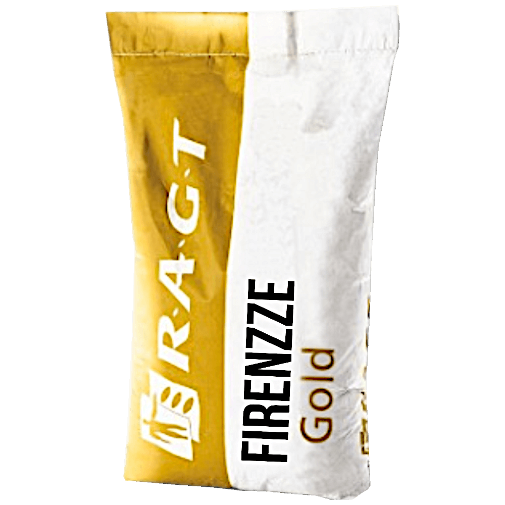 RAGT Winterraps Saatraps FIRENZZE GOLD