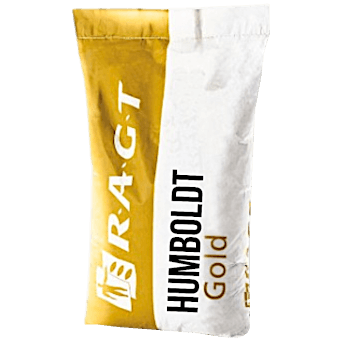 RAGT Winterraps Saatraps HUMBOLDT GOLD