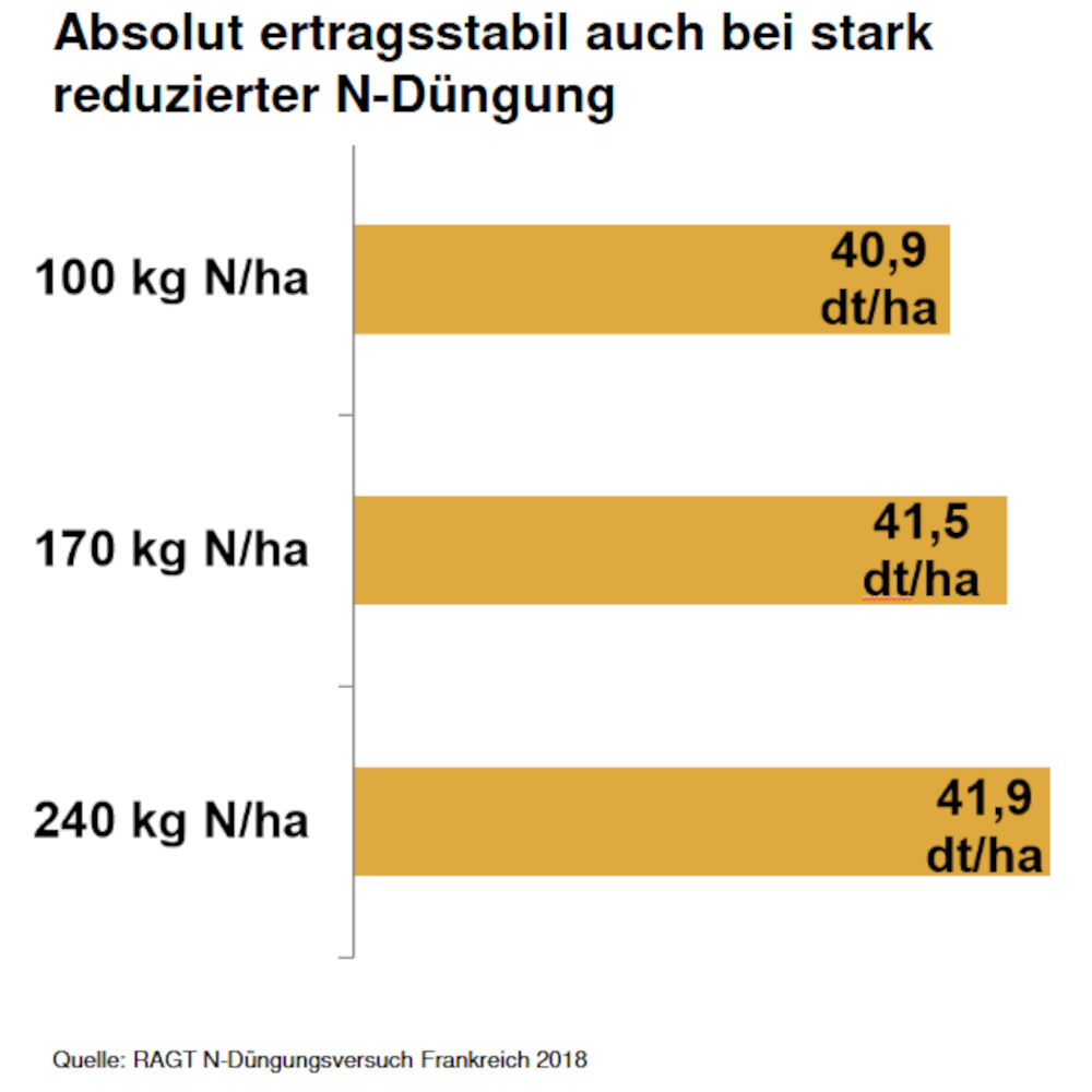 RAGT Winterraps Saatraps TREZZOR