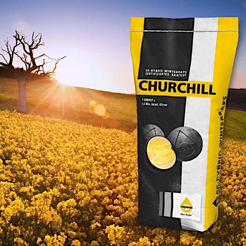 rapool® Winterraps Saatraps CHURCHILL