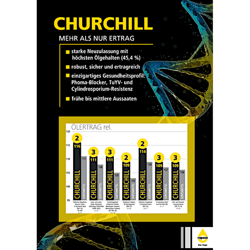 rapool® Winterraps Saatraps CHURCHILL