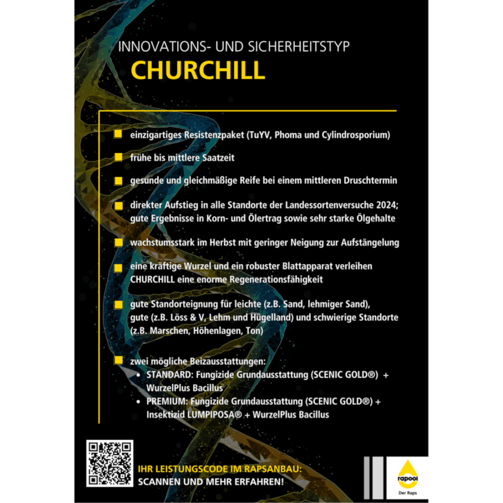 rapool® Winterraps Saatraps CHURCHILL