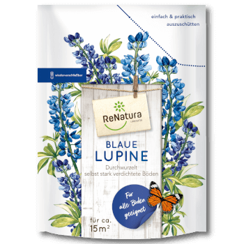 ReNatura®  Blaue Lupine (Lupinus angustifolius)