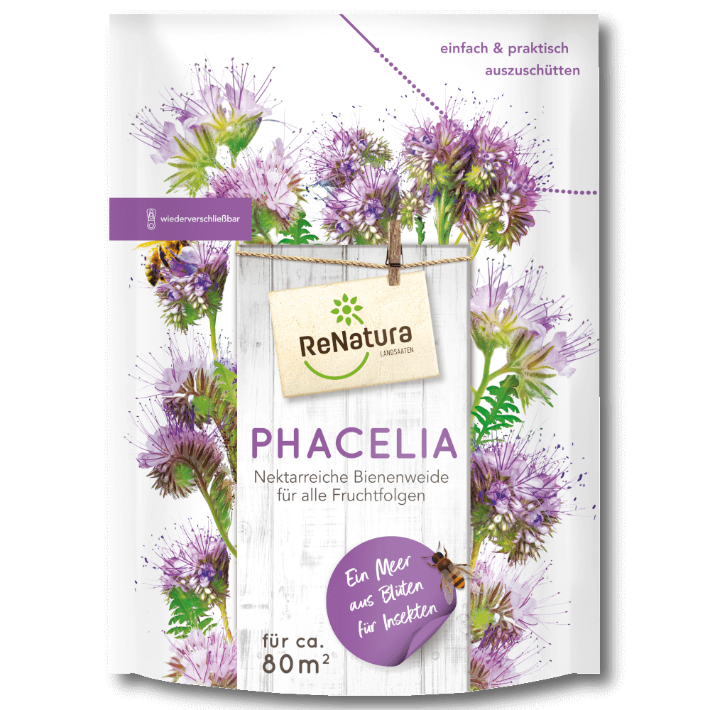 ReNatura® Phacelia (Phacelia tanacetifolia)