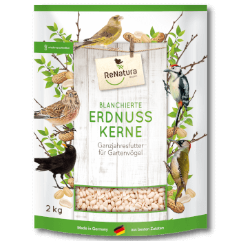 ReNatura® Blanchierte Erdnusskerne