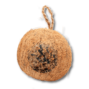 ReNatura noix de coco fourrée