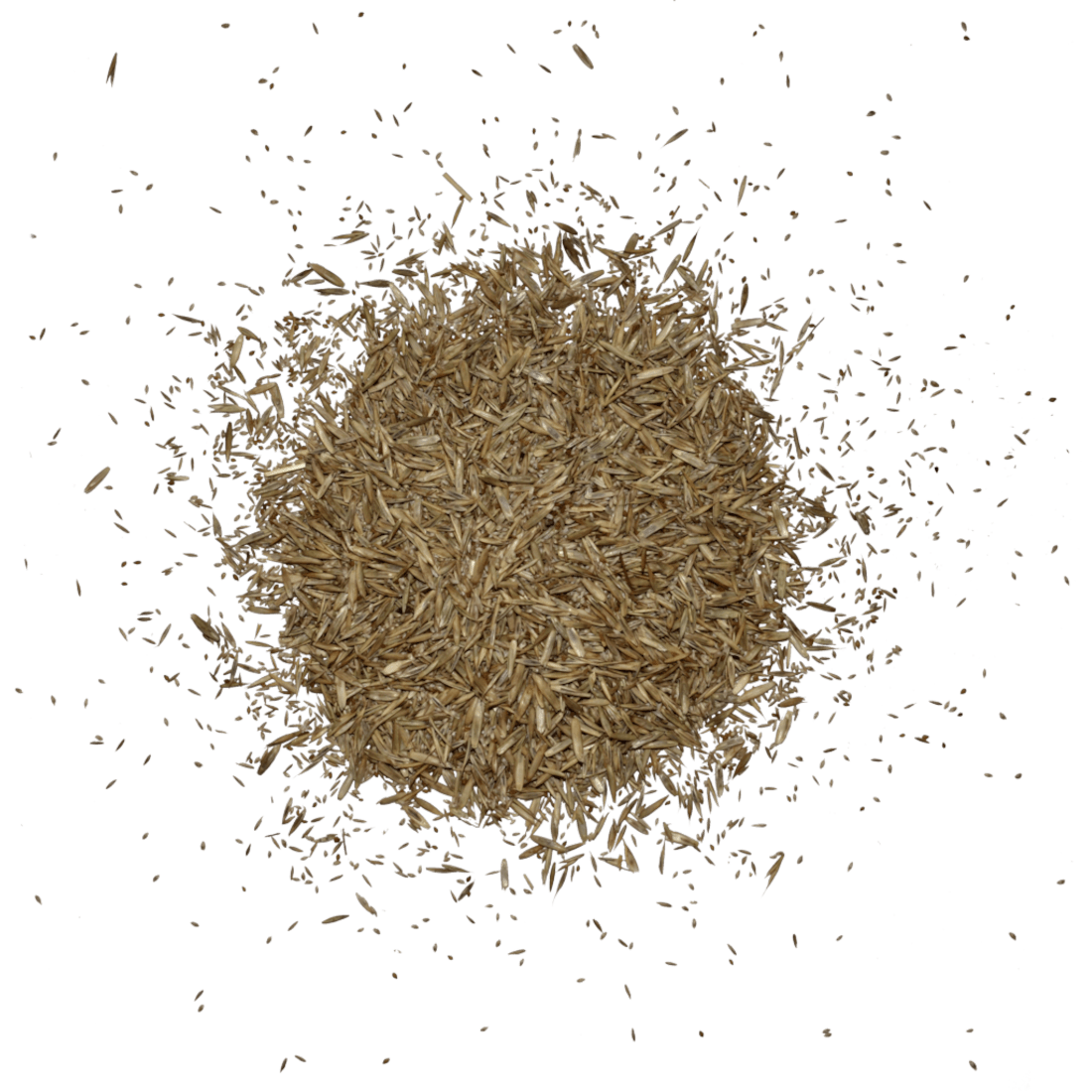 Rudloff Equitana Fruktan Light Pferdeweide