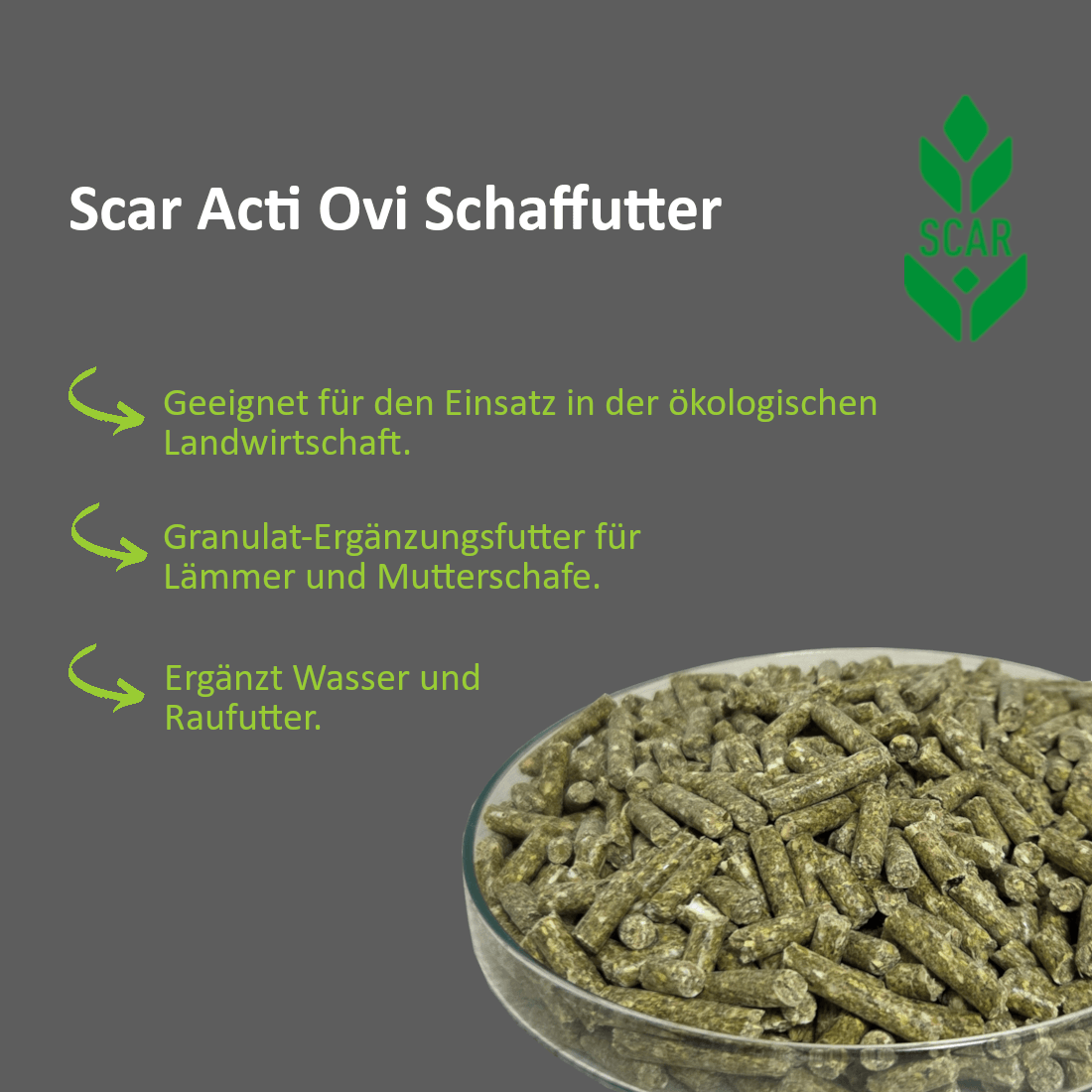 Scar Acti Ovi Schaffutter