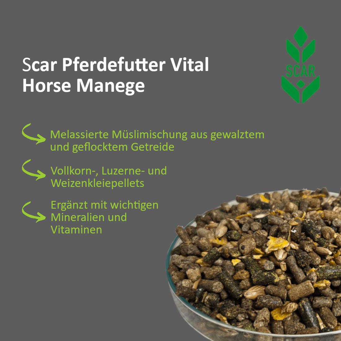 Scar Pferdefutter Vital Horse Manege