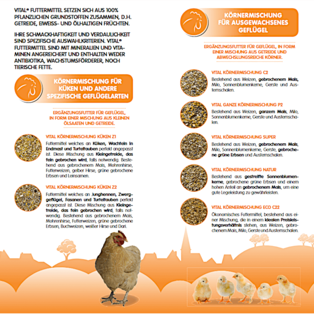 Scar Vital Körnermischung C2 Universal