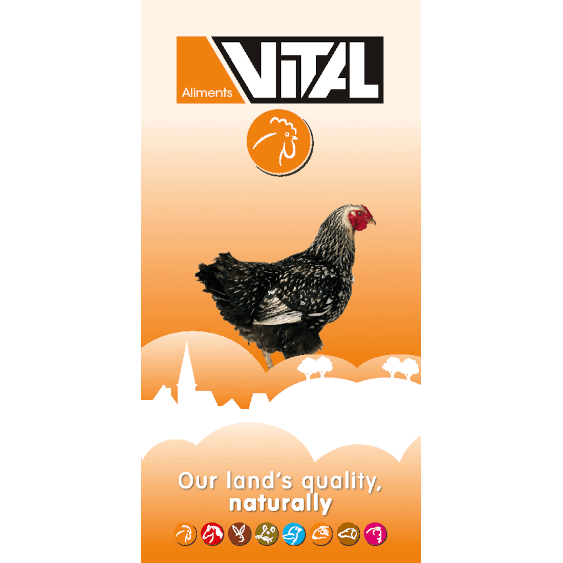 Scar Vital Körnermischung C2 Universal