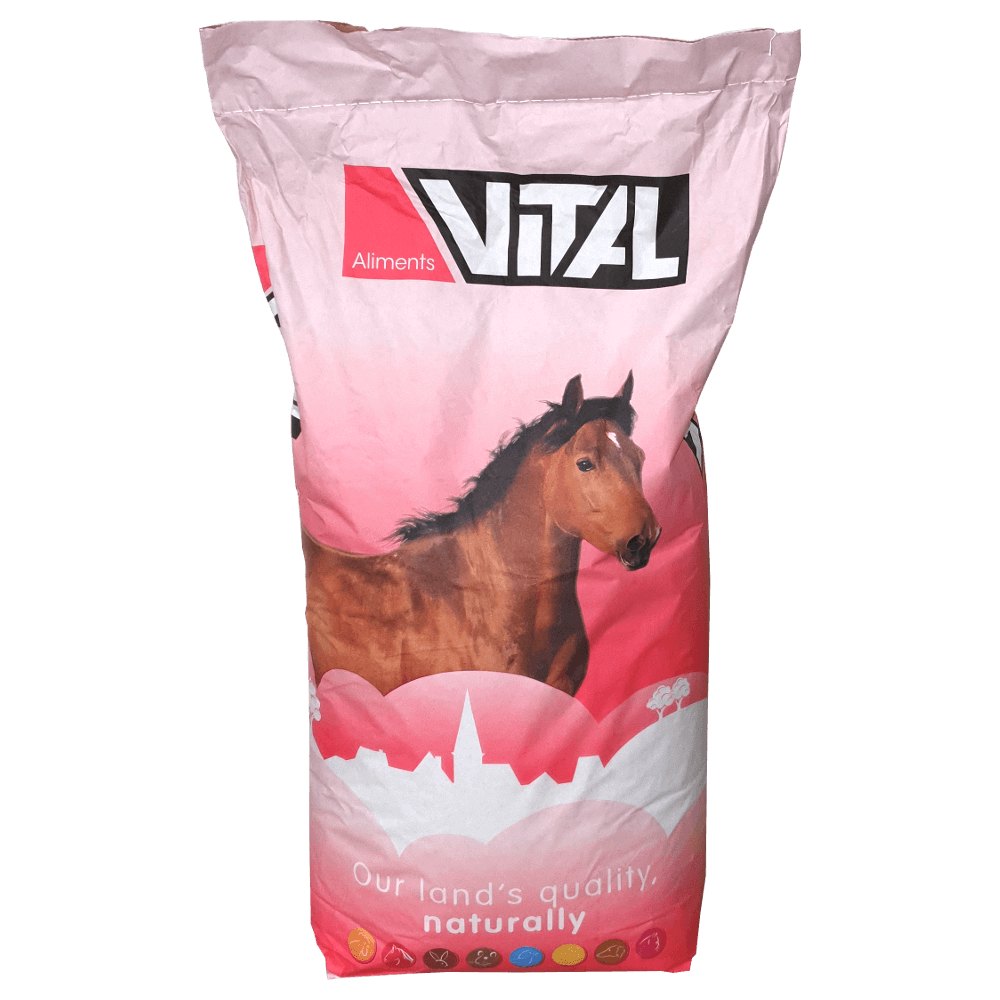 Scar Vital Horse poney et âne
