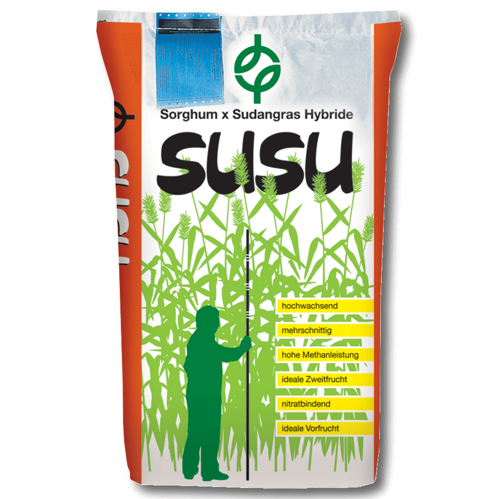 SUSU Sorghum x Sudangrashybride