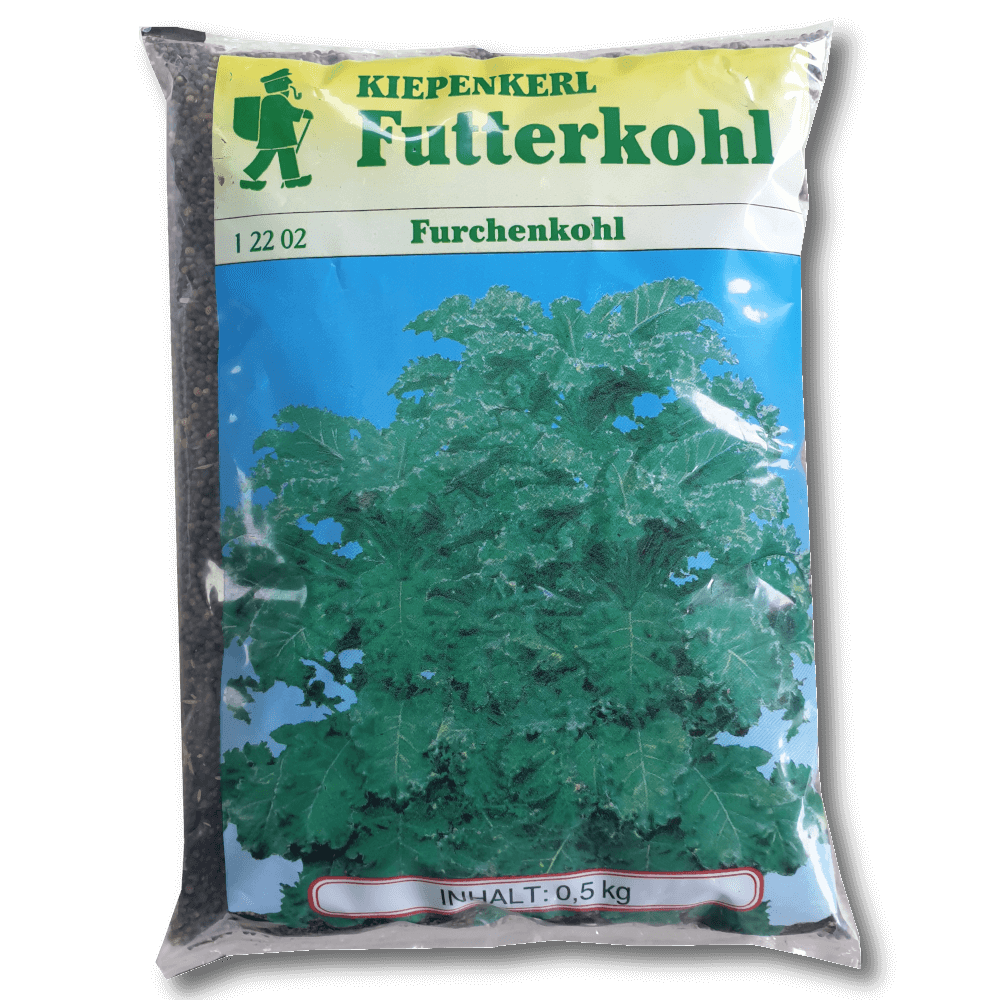 Futterkohl Westfälischer Furchenkohl (Brassica oleracea var. viridis)