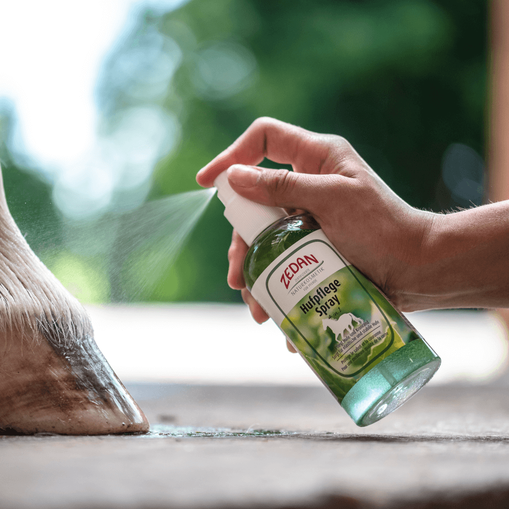 ZEDAN Hufpflege Spray - 4 in 1