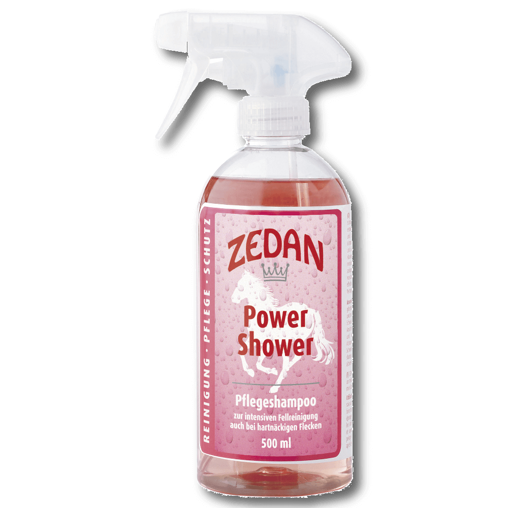 ZEDAN Power Shower